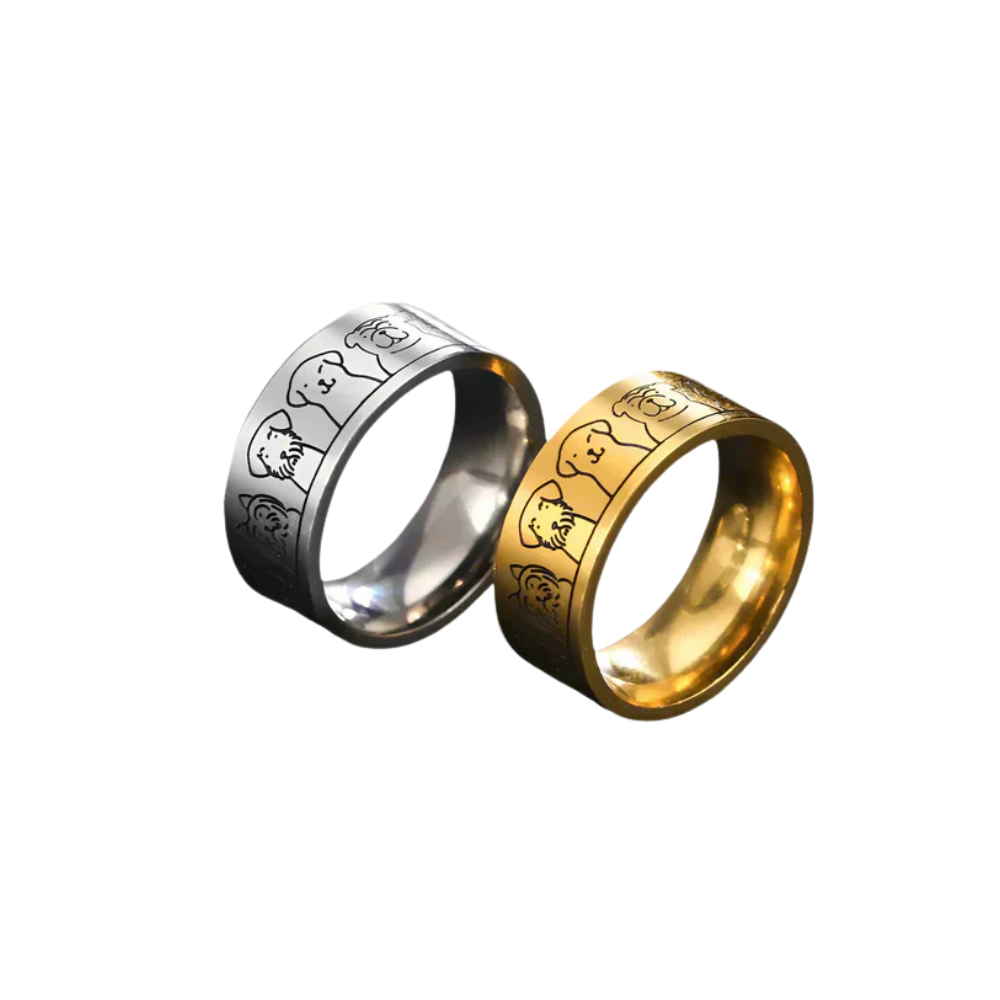 Bague en Or et Argent – Nika