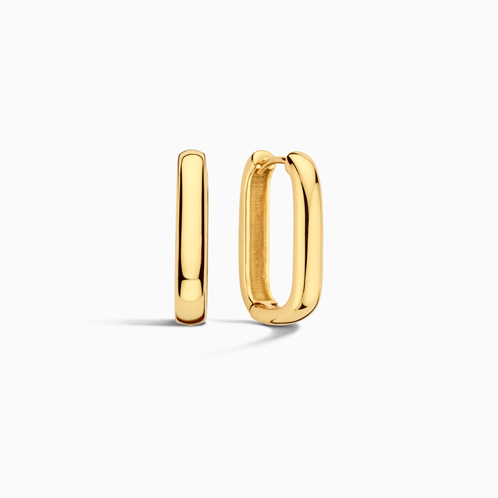 Boucles d'oreilles Icon